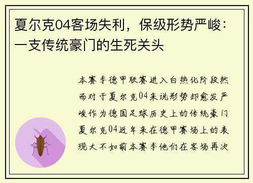 夏尔克04客场失利,保级形势严峻:一支传统豪门的生死关头